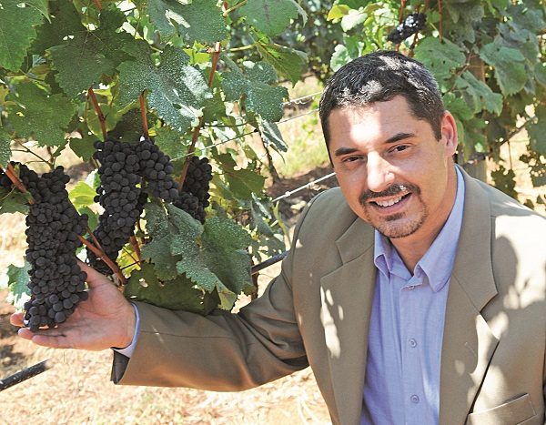 Marcelo de Souza, dono da fazenda Santa Rosa, tem hoje quatro hectares de parreiras plantadas: investimentos de mais de R$ 850 mil para produzir vinho de qualidade no Planalto Central (Minervino Junior/Encontro/DA Press)