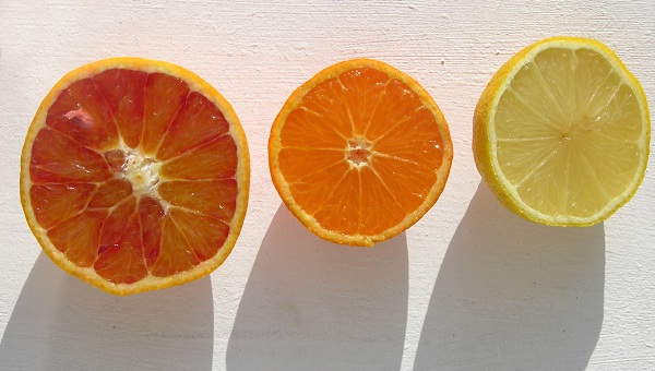 A vitamina C é encontrada em alimentos cítricos como toranja, laranja e limão (SXC)