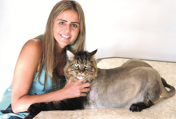 Vanessa Pimentel, especialista em medicina felina, com seu gato, o Petruquio, de 15 kg: ele se recusa a fazer exercício (Minervino Júnior/Encontro/DA PRESS)