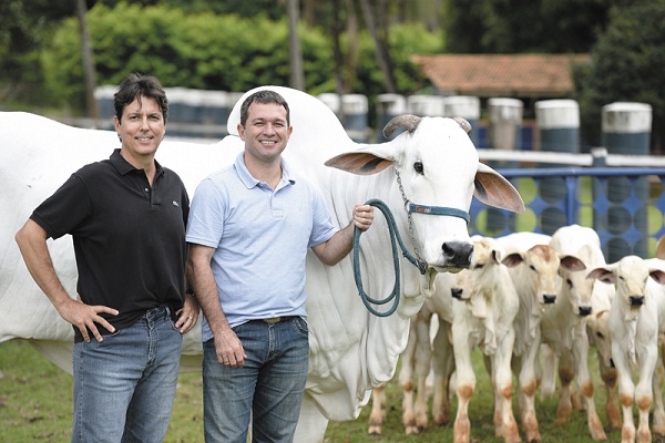 Os sócios Henrian Gonçalves e Renato Cavalheiro com a vaca Beldade: mostra do rebanho campeão da Chácara Carnnel (Raimundo Sampaio / Encontro / DA Press)