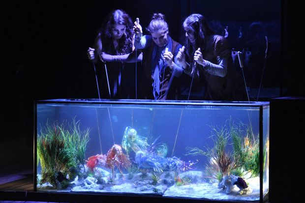 O espetáculo une teatro aquático de bonecos às canções praieiras de Caymmi (Cláudia Ribeiro/Divulgação)