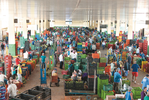 Em um dos pavilhões da Ceasa, 480 produtores comercializam cerca de 300 produtos cadastrados (Raimundo Sampaio/Encontro/DA Press)