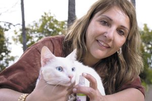 A pedagoga Andrea Lopes da Silva com o gato Milk Shake: at o vermfugo  natural (Rogrio Sol/Encontro)