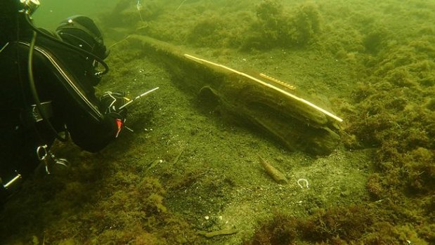 Os arquelogos encontraram o 'monstro' nos destroos de um naufrgio dinamarqus do sculo XV, que estava a 10 m de profundidade, na costa da Sucia (svt.se/Reproduo)