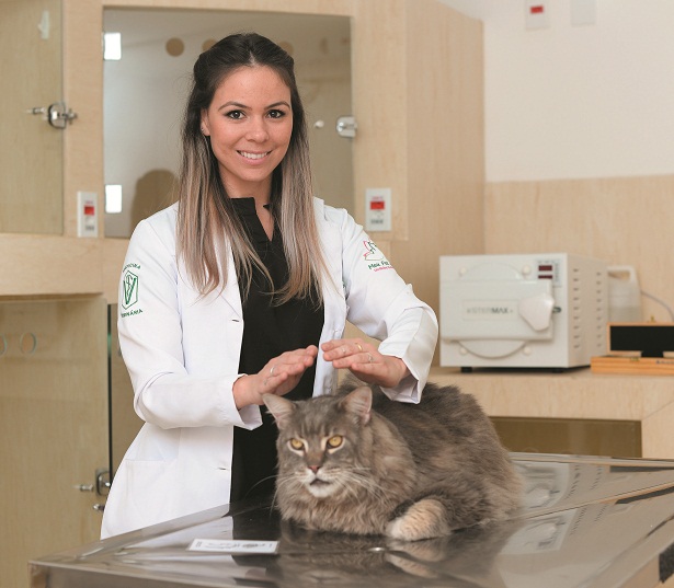 A veterinária Camila Garcia usa o reiki, uma técnica não envasiva, para tratamento  em animais: até na UTI traz alívio (Raimundo Sampaio/Encontro/DA Press)