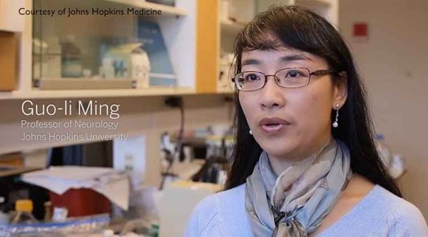 A professora Guo-li Ming faz parte do grupo de cientistas que descobriu a ação do zika vírus nas células que formam o córtex cerebral (YouTube/Reprodução)