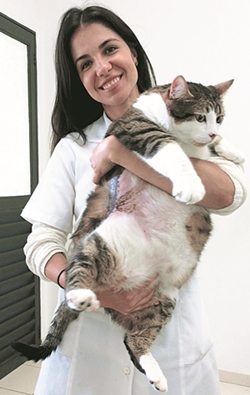 A veterinria Marina Pellegrino e o
gato obeso que pesava mais de 10
quilos: 'Ele comia por dia a 
quantidade de alimento indicada
para um co labrador adulto'
 (Arquivo Pessoal)