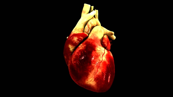 A expectativa do pesquisador brasileiro Gabriel Liguori é que consiga produzir um coração bioartificial usando a impressão 3D até o ano de 2030 (Reprodução)