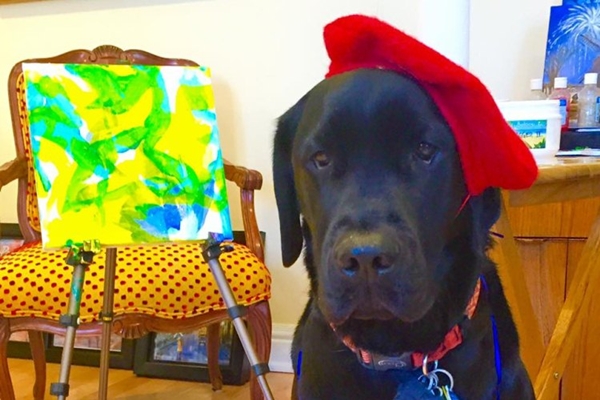 O 'pintor' canino DogVinci posa ao lado de sua obra Golden Blue (azul dourado, em traduo livre), que foi feita com a tcnica acrlico sobre tela (Facebook/DaggerCanineArtist/Reproduo)