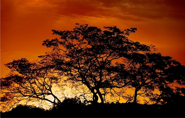 'Natureza Monumental - Pôr do sol no canteiro do Eixo Monumental de Brasília. A poeira da seca do inverno serve como um difusor de luz após a queda do sol no horizonte' (Edu Vergara/Reprodução)