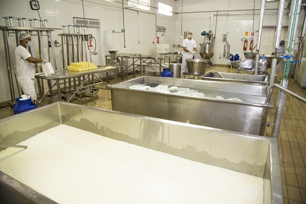 No Laticínio Xique-Xique, a produção de queijos abastece estabelecimentos de grande movimento na capital: o local virou um laboratório de testes e criações  (Vinícius Santa Rosa/Esp. Encontro/DA Press)