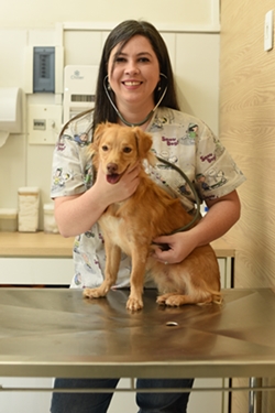 'É importante sempre se monitorar 
mudanças comportamentais e físicas 
dos animais', aconselha a veterinária
Carmen Peres, da creche canina The 
Hound (Raimundo Sampaio/Esp. Encontro/DA Press)