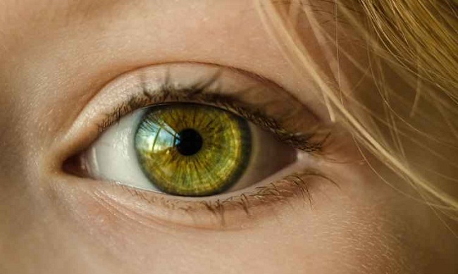 Ar condicionado, medicamentos, perodo aps a menopausa e doenas diversas podem causar a chamada sndrome do olho seco (Pixabay )