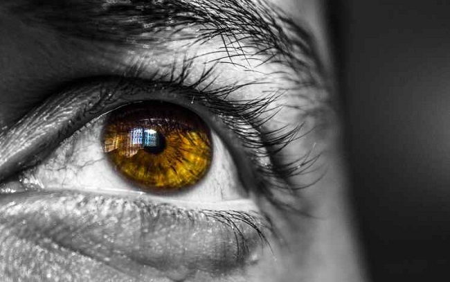 No caso do infarto ocular, vasos sanguneos que alimentam a retina podem sofrer ocluses, levando at mesmo  perda da viso (Pexels)