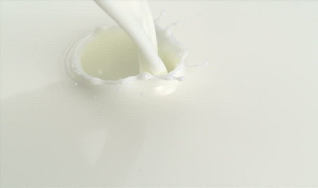 O clcio presente no leite e em seus derivados ajuda a desintoxicar o organismo contra o chumbo, um perigoso metal pesado (Pexels)