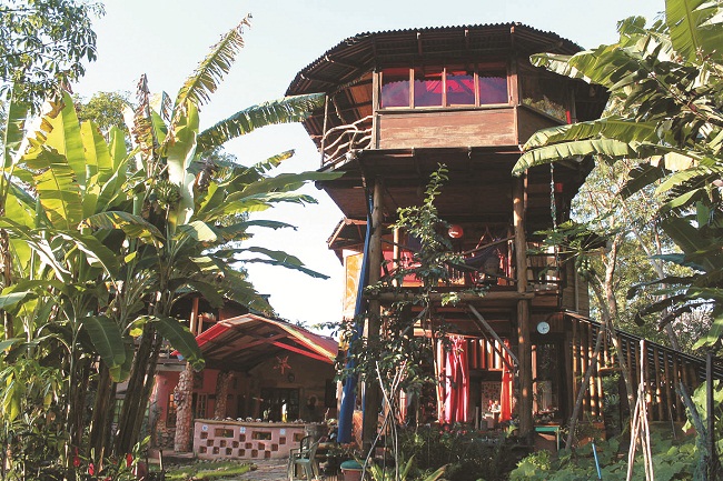 Casa na árvore 
é um dos atrativos
da pousada Mariri
Jungle Lodge: ideal
para casais em busca
de privacidade (Divulgação )
